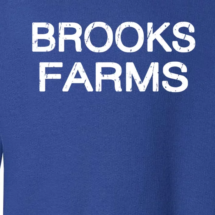 Brooks Farms Squad Family Reunion Last Name Team Gift Toddler Sweatshirt