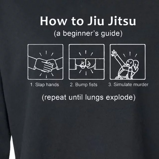 Bjj Gifts Beginner Jiu Jitsu Guide Funny Brazilian Jiu Jitsu Cropped Pullover Crew