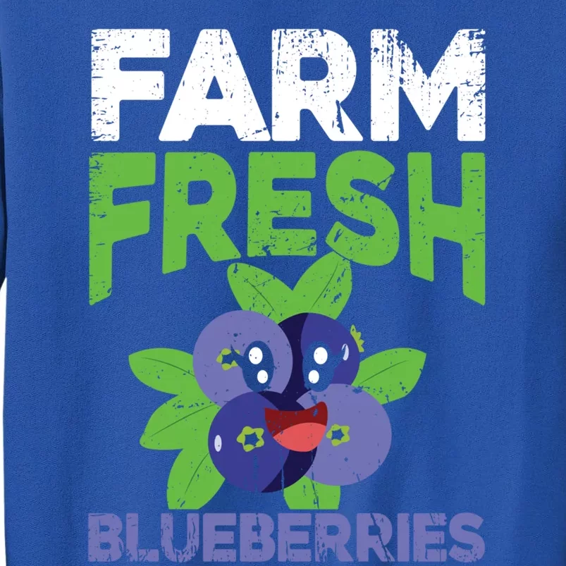 Blueberries Graphics Blueberry Lover Farmer Blueberry Fruit Cool Gift Tall Sweatshirt