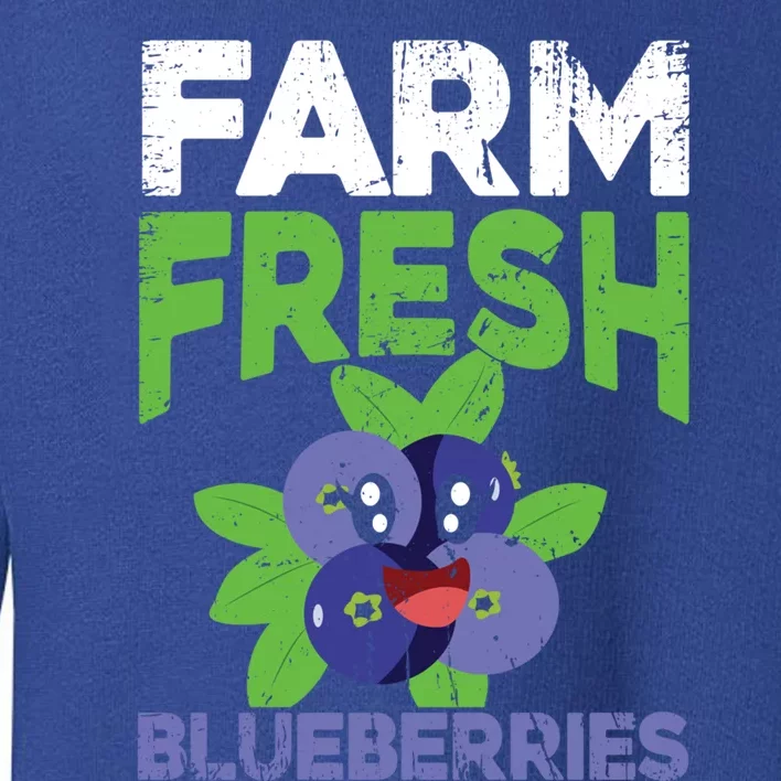 Blueberries Graphics Blueberry Lover Farmer Blueberry Fruit Cool Gift Toddler Sweatshirt