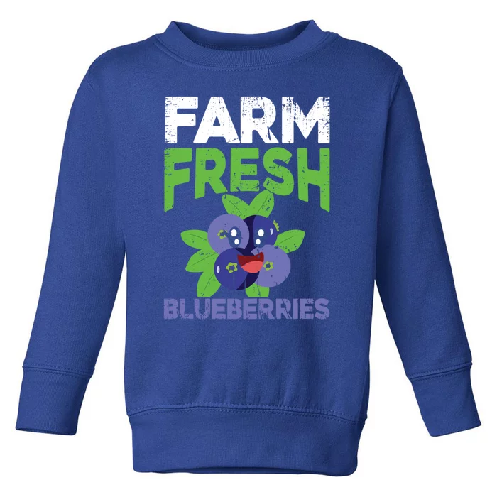 Blueberries Graphics Blueberry Lover Farmer Blueberry Fruit Cool Gift Toddler Sweatshirt