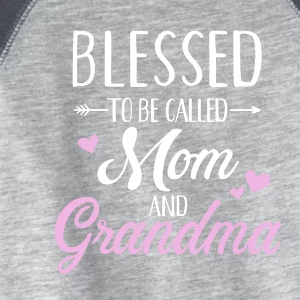 Blessed Grandma Cute Gift Toddler Fine Jersey T-Shirt