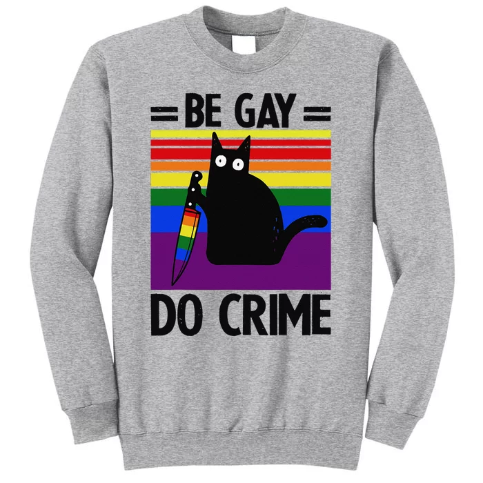 Be Gay Do Crime Cat LGBT Flag Sweatshirt