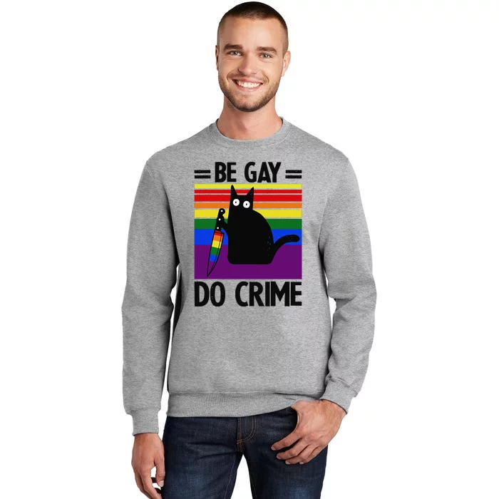 Be Gay Do Crime Cat LGBT Flag Tall Sweatshirt