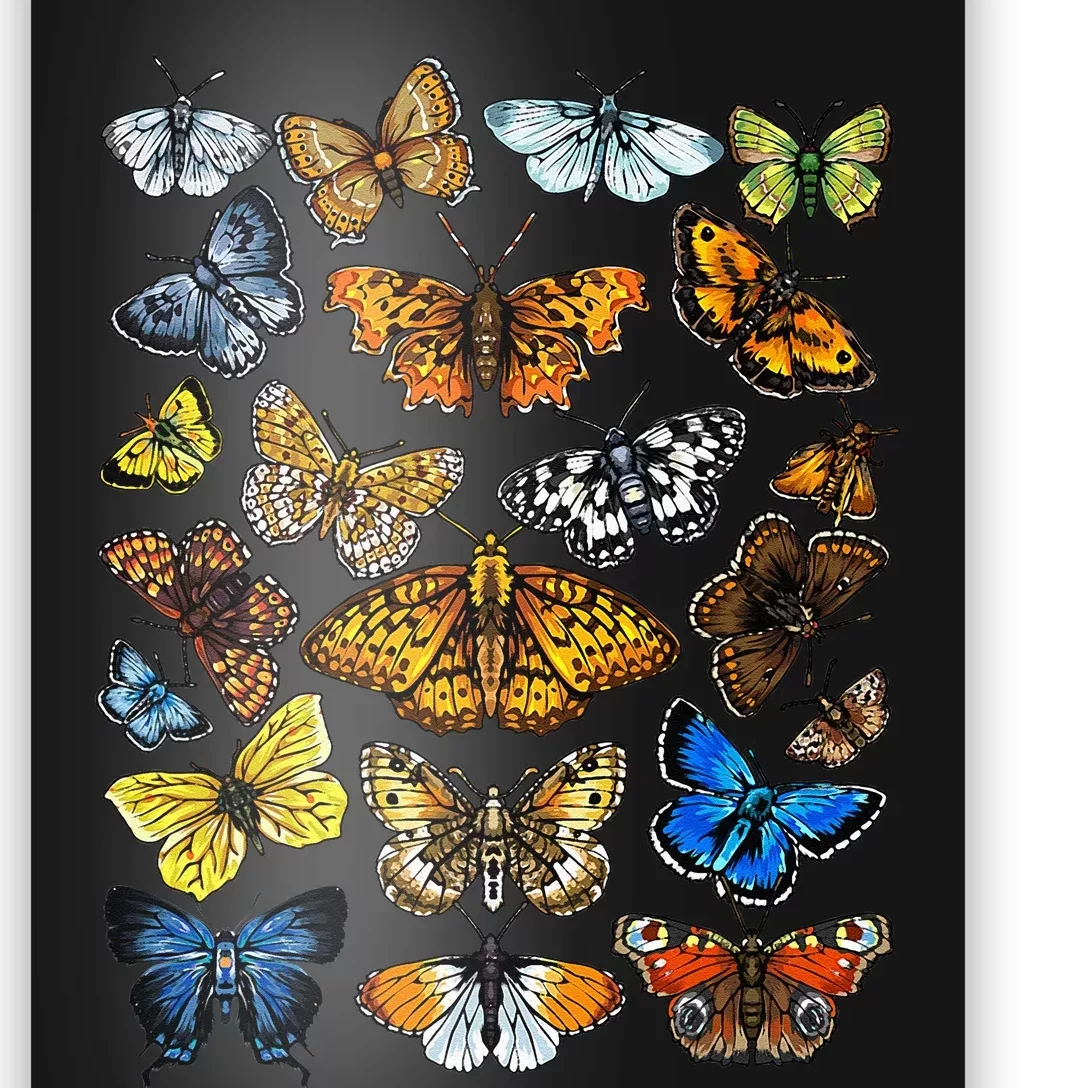 Butterfly Gift For Men Women Kids Butterfly Lover Collection Poster