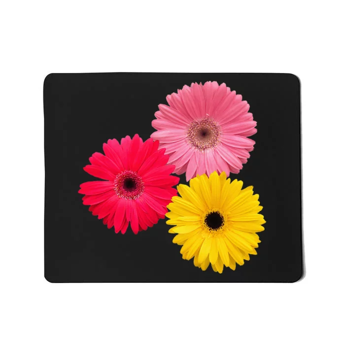 Blooming Gerbera Flower Daisies Gerberas Daisy Flowery Mousepad