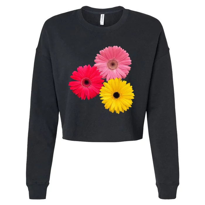 Blooming Gerbera Flower Daisies Gerberas Daisy Flowery Cropped Pullover Crew