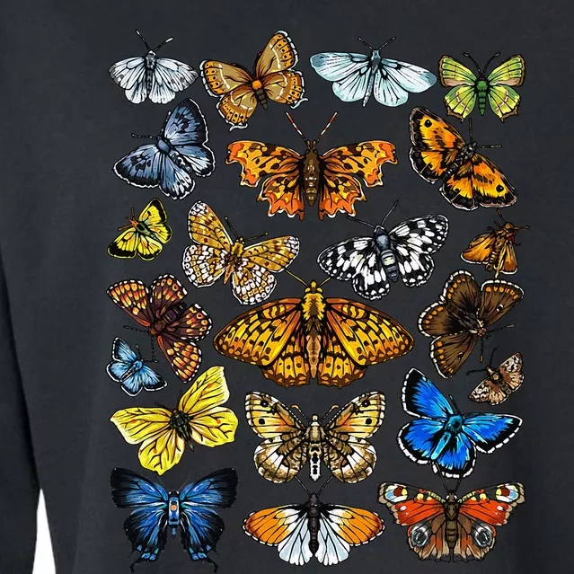 Butterfly Gift For Men Women Kids Butterfly Lover Collection Cropped Pullover Crew