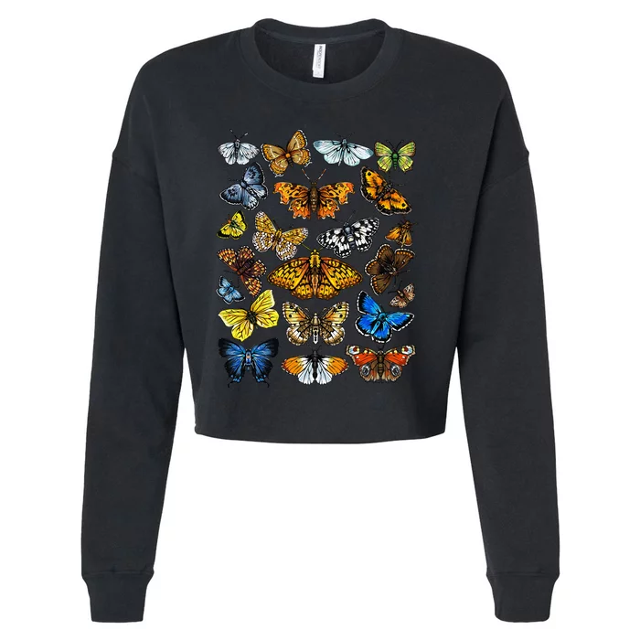 Butterfly Gift For Men Women Kids Butterfly Lover Collection Cropped Pullover Crew