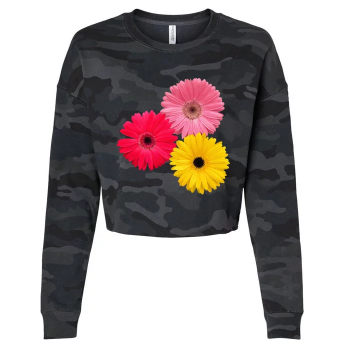 blooming gerbera flower daisies gerberas daisy flowery Cropped Pullover Crew