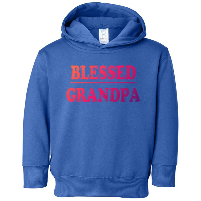 Blessed Grandpa Funny Grandparents Day Gift Toddler Hoodie