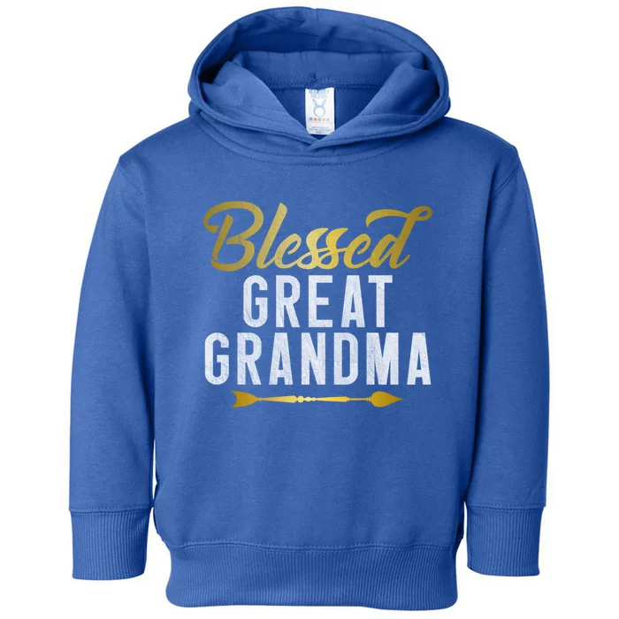 Blessed Great Grandma Meaningful Gift Toddler Hoodie