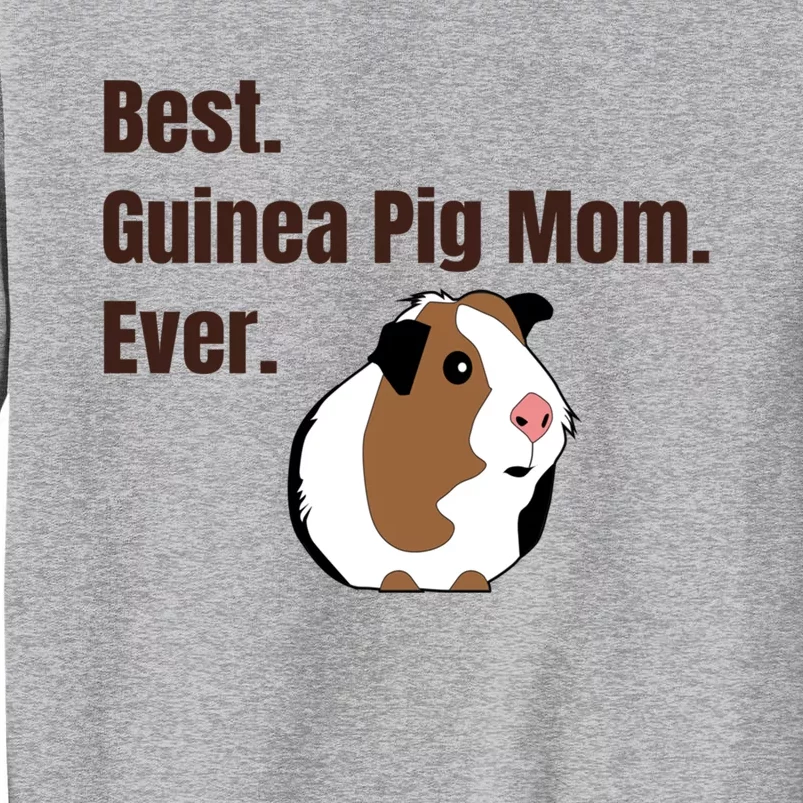 Best Guinea Pig Mom Ever Gift Pet Lover Gift Sweatshirt