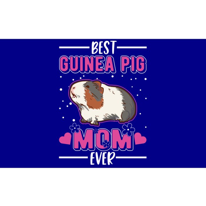 Best Guinea Pig Mom Ever Funny Gift Bumper Sticker