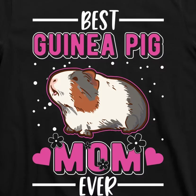 Guinea best sale pig mom