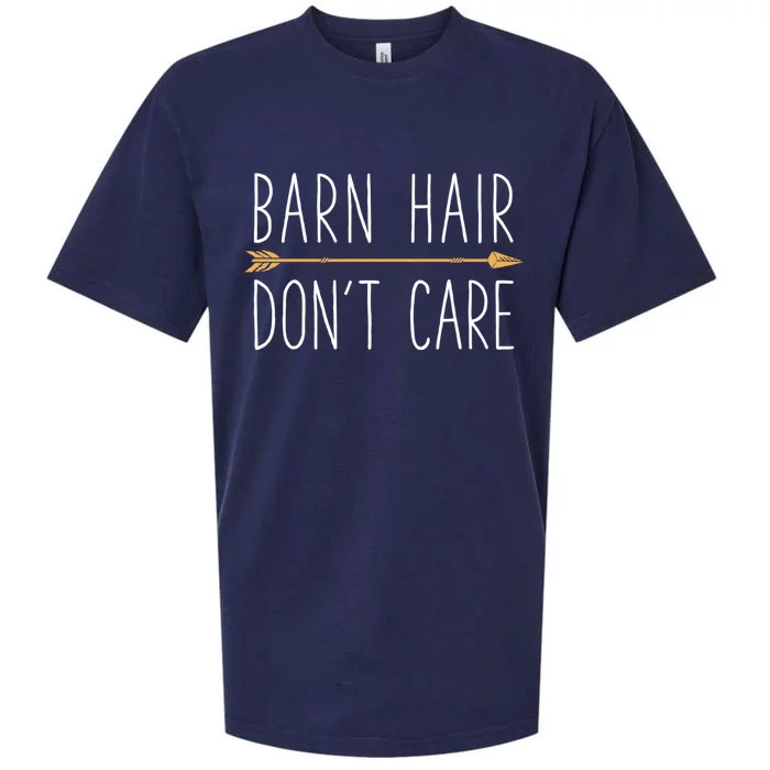 Barn Hair Don't Care Horse Funny Farm Horseback Riding Gift Sueded Cloud Jersey T-Shirt