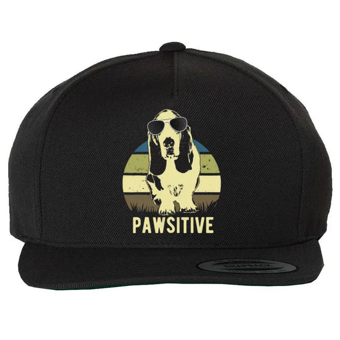 Basset Hound Dog Breed Wool Snapback Cap