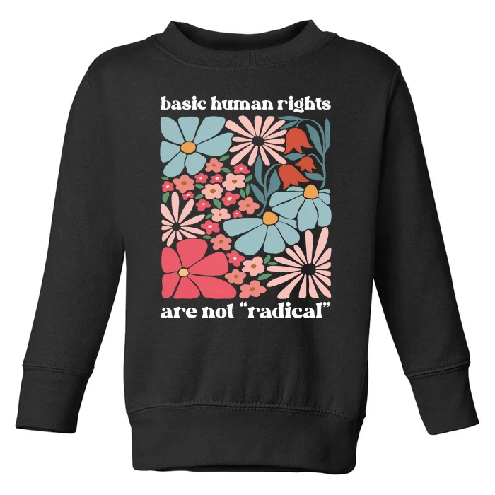 Basic Human Rights Are Not Radical Toddler Sweatshirt