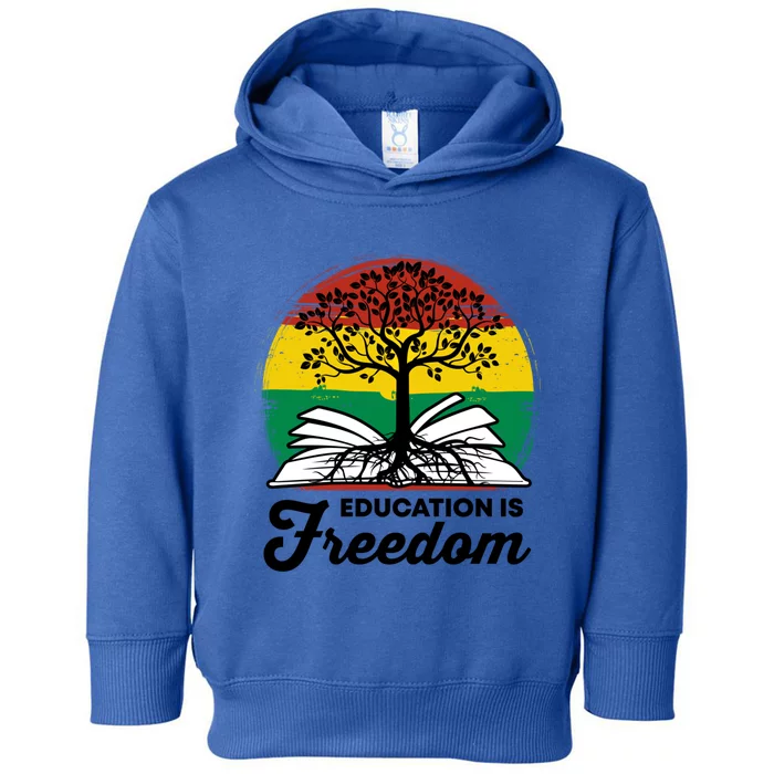 Black History Teacher Education Is Freedom Bhm African Pride Funny Gift Toddler Hoodie