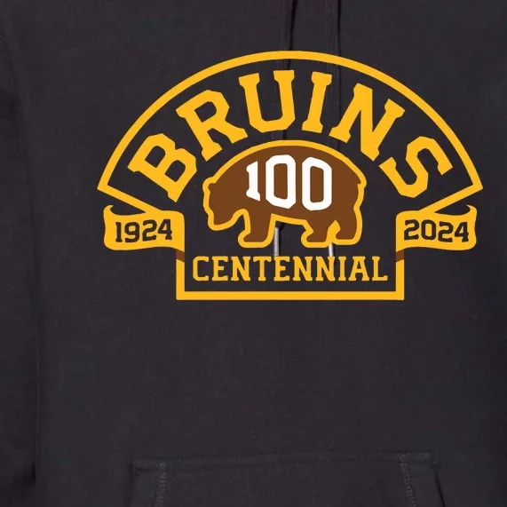 Bruins Hockey Team 100th Season Hockey 2024 Premium Hoodie