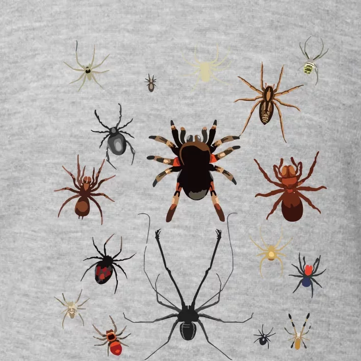 Bruh Im 6 Year Old Birthday Spider Web Toddler Sweatshirt