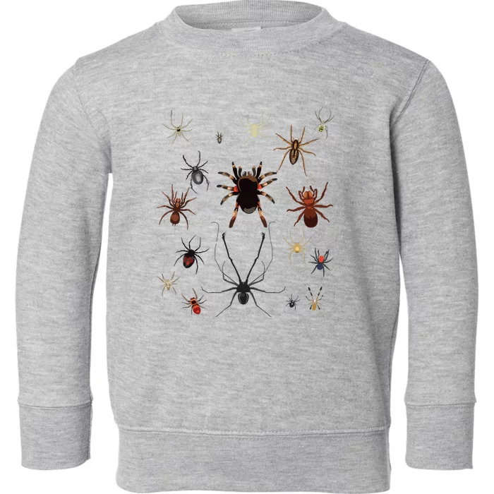 Bruh Im 6 Year Old Birthday Spider Web Toddler Sweatshirt