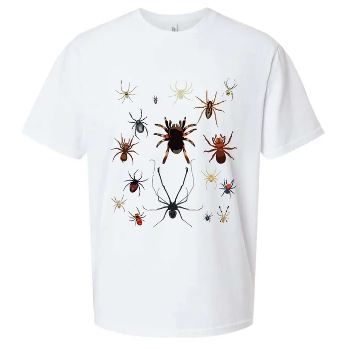 Bruh Im 6 Year Old Birthday Spider Web Sueded Cloud Jersey T-Shirt