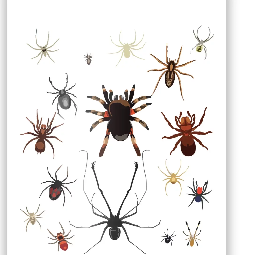 Bruh Im 6 Year Old Birthday Spider Web Poster