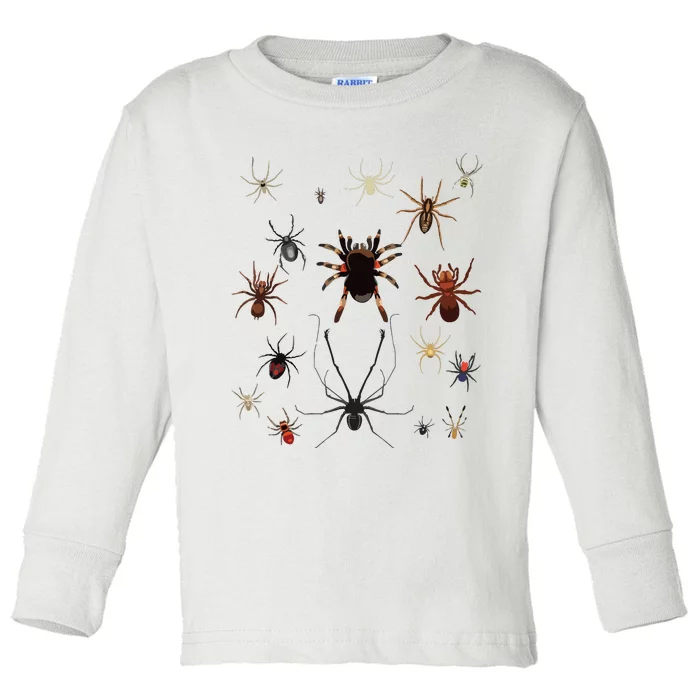 Bruh Im 6 Year Old Birthday Spider Web Toddler Long Sleeve Shirt