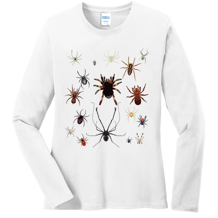 Bruh Im 6 Year Old Birthday Spider Web Ladies Long Sleeve Shirt