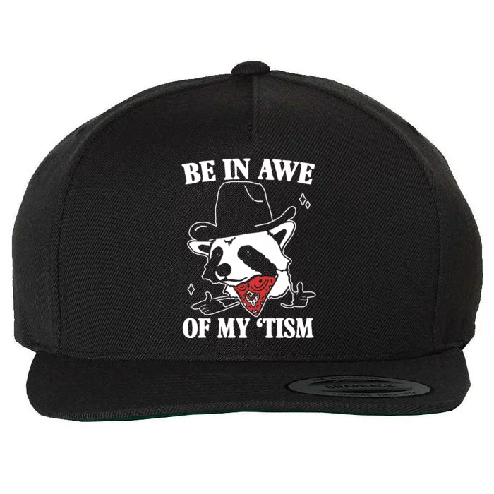 Be In Awe Of My Autism Funny Raccoon Wool Snapback Cap