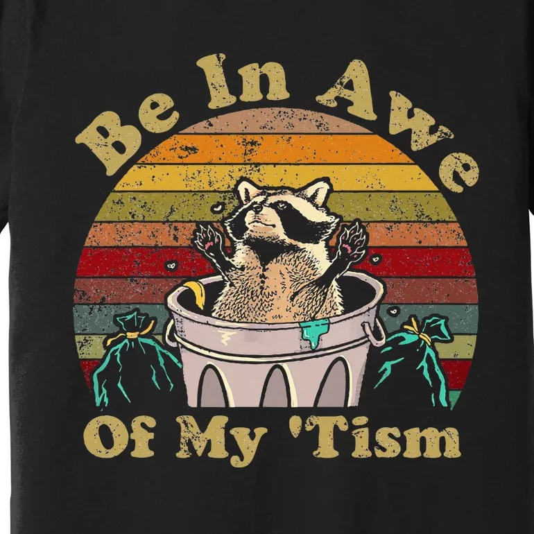 Be In Awe Of My Tism Raccoon Trash Pandas Autistic Premium T-Shirt