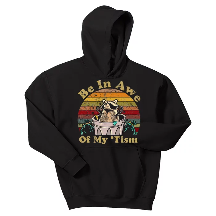 Be In Awe Of My Tism Raccoon Trash Pandas Autistic Kids Hoodie