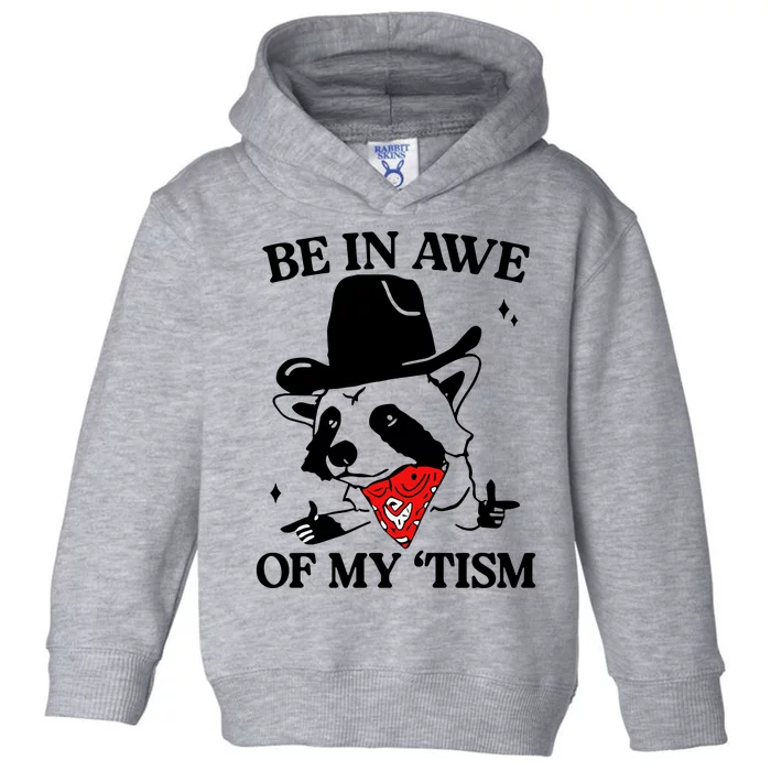 Be In Awe Of My Tism Retro Style Toddler Hoodie