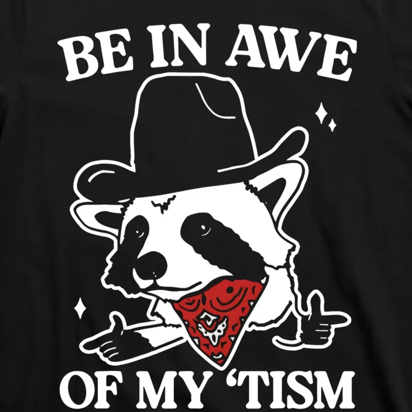 Be In Awe Of My Tism Funny Racoon Meme Retro T-Shirt