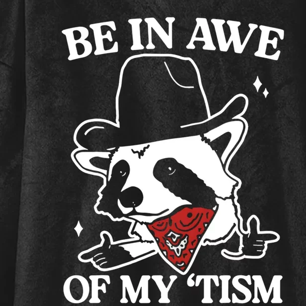 Be In Awe Of My Tism Funny Racoon Meme Retro Hooded Wearable Blanket