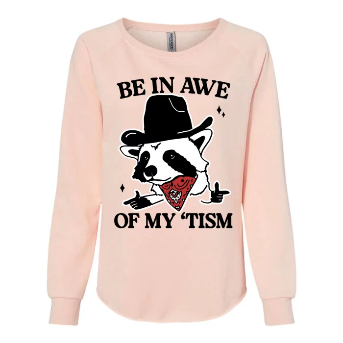 Be In Awe Of My Tism Funny Racoon Meme Retro Womens California Wash Sweatshirt