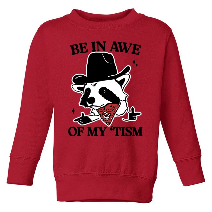 Be In Awe Of My Tism Funny Racoon Meme Retro Toddler Sweatshirt