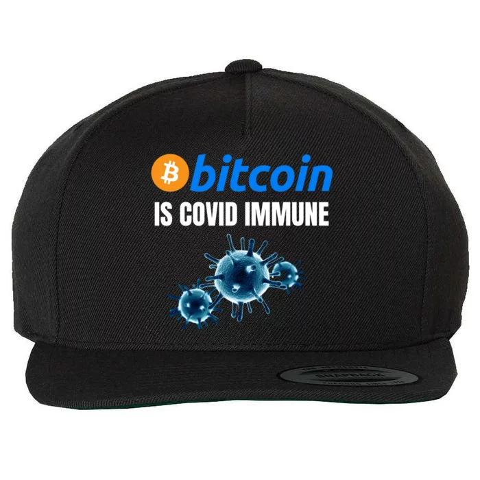 Bitcoin Is COVID Immune, Unstoppable, Plan B, Crypto Currency, Blockchain Wool Snapback Cap