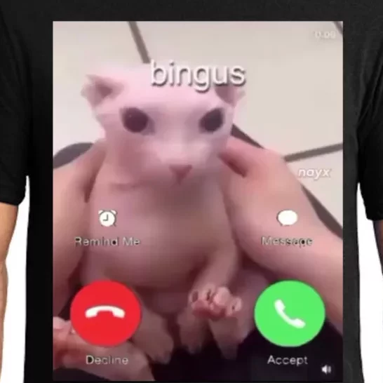 Bingus Is Calling My Beloved Hairless Sphinx Cat Gift Pajama Set