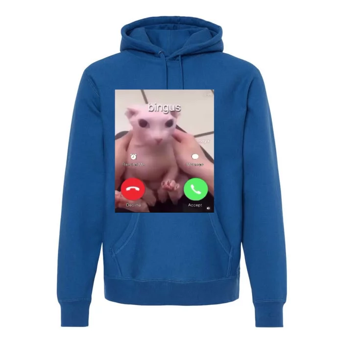 Bingus Is Calling My Beloved Hairless Sphinx Cat Gift Premium Hoodie