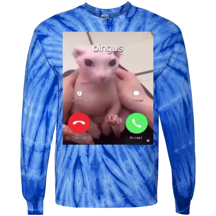 Bingus Is Calling My Beloved Hairless Sphinx Cat Gift Tie-Dye Long Sleeve Shirt