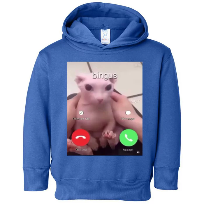 Bingus Is Calling My Beloved Hairless Sphinx Cat Gift Toddler Hoodie