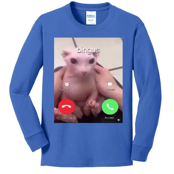 Bingus Is Calling My Beloved Hairless Sphinx Cat Gift Kids Long Sleeve Shirt