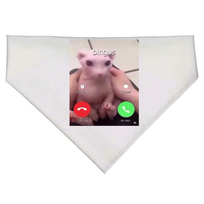 Bingus Is Calling My Beloved Hairless Sphinx Cat Gift USA-Made Doggie Bandana