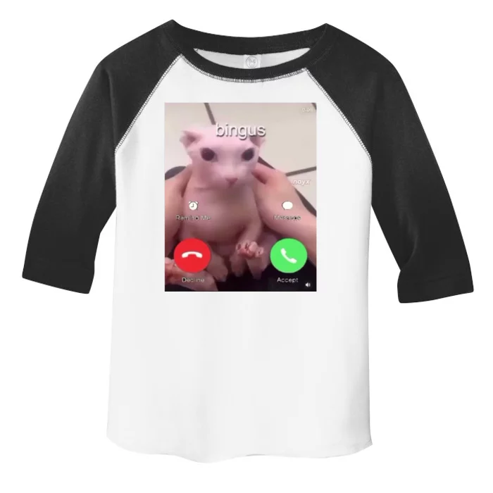 Bingus Is Calling My Beloved Hairless Sphinx Cat Gift Toddler Fine Jersey T-Shirt