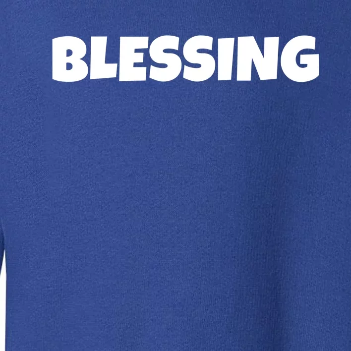 Blessing In Disguise Funny Halloween Costume Idea Great Gift Toddler Sweatshirt