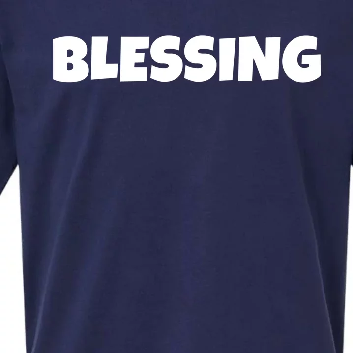 Blessing In Disguise Funny Halloween Costume Idea Great Gift Sueded Cloud Jersey T-Shirt