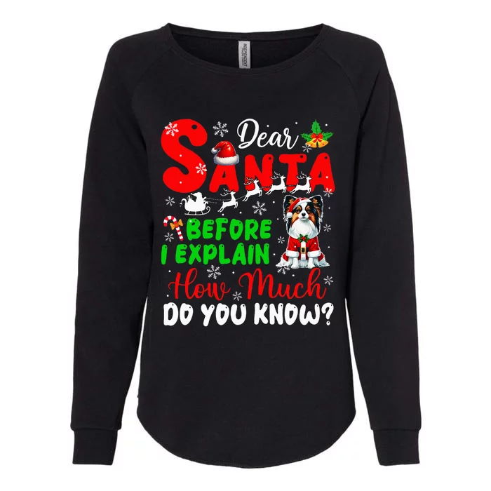 Before I Explain How Much You Know Xmas Papillon Owner Lover Womens California Wash Sweatshirt