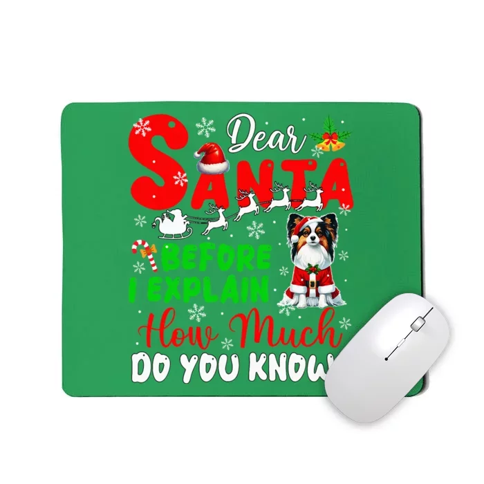 Before I Explain How Much You Know Xmas Papillon Owner Lover Mousepad